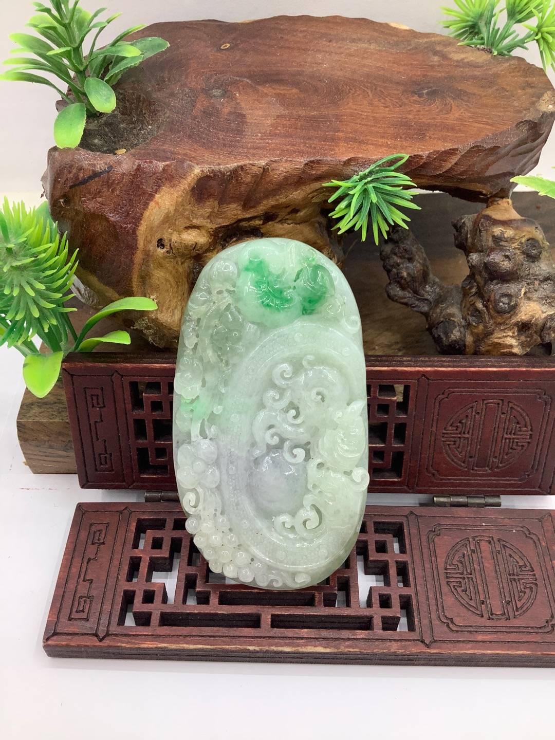 灵兽纳福