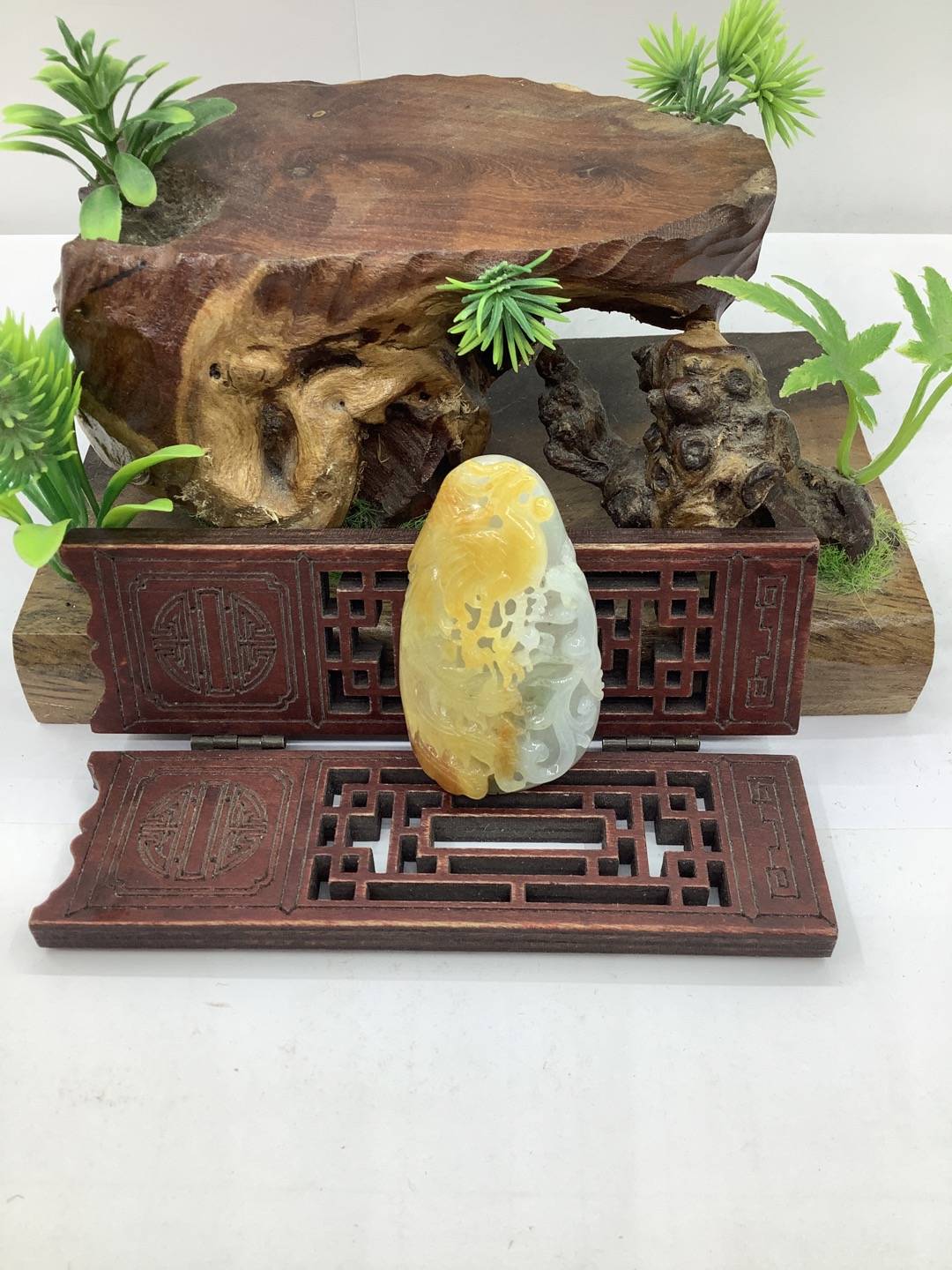 凤舞九天