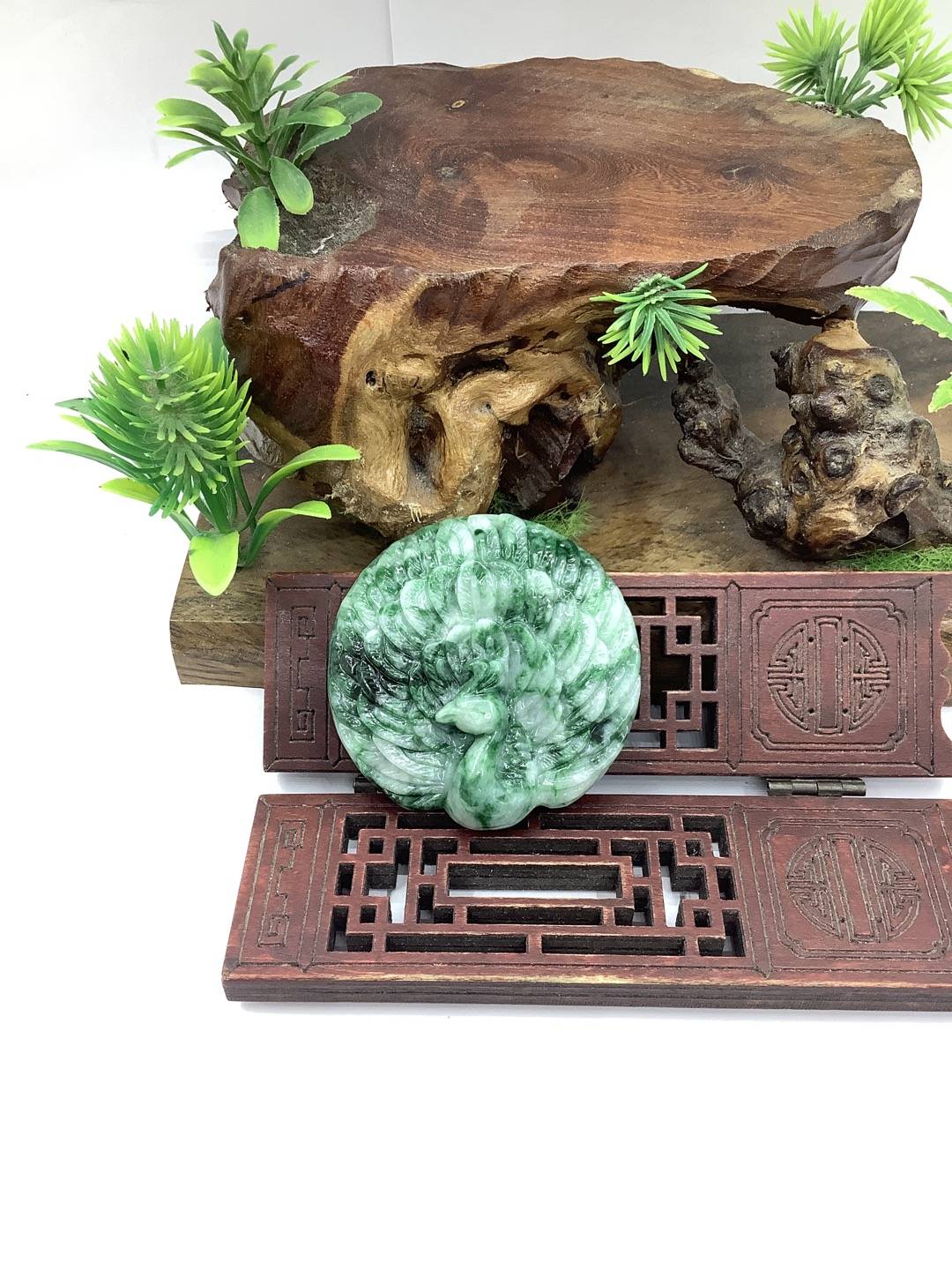 孔雀开屏