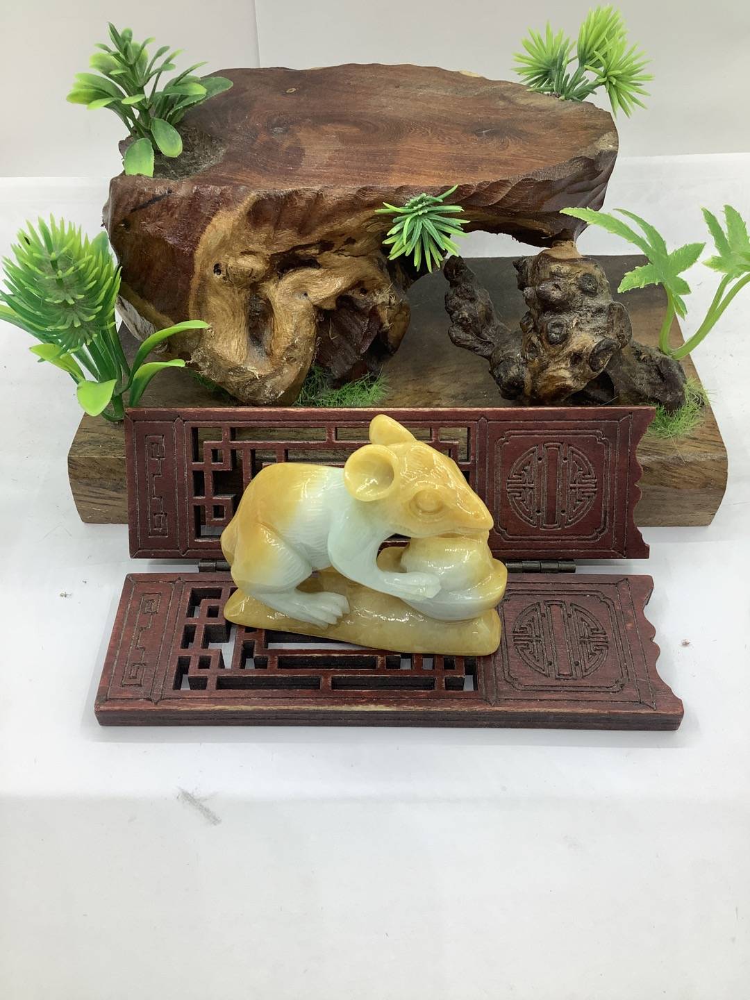 属你有财