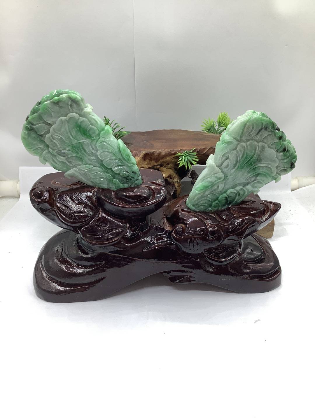 百事来财